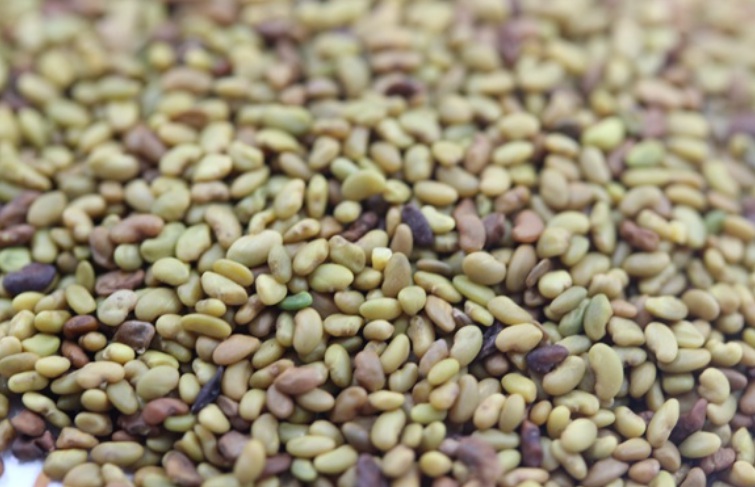 1627287565841280.jpg 2.jpg