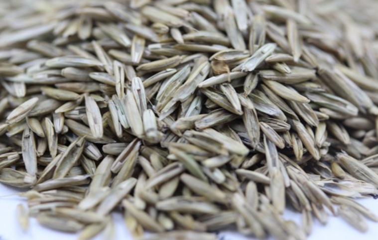 1627287588105660.jpg 3.jpg