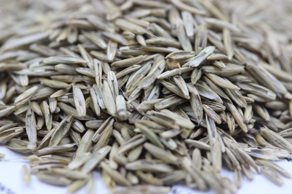 1627363534395113.jpg image.jpg