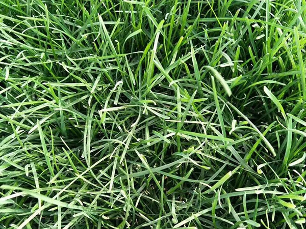 1627371697481643.jpg image.jpg