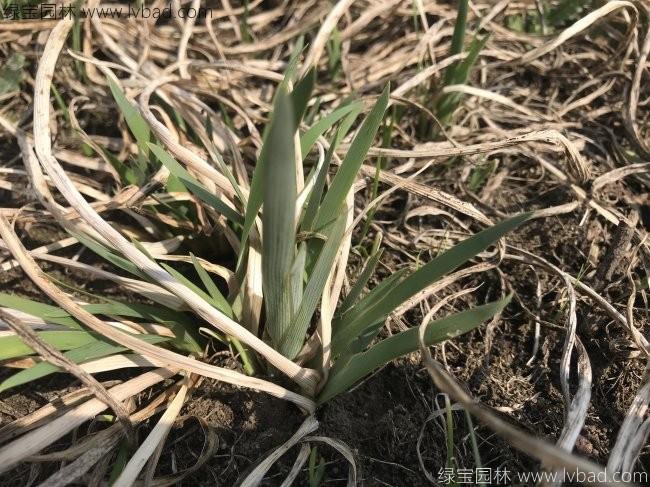 1627373796435747.jpg image.jpg