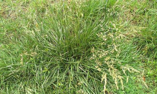 1627375208388842.jpg image.jpg