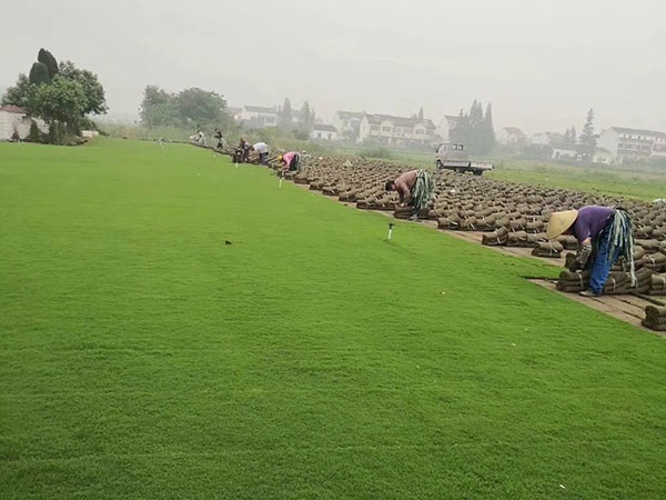 1627376129419819.jpg image.jpg