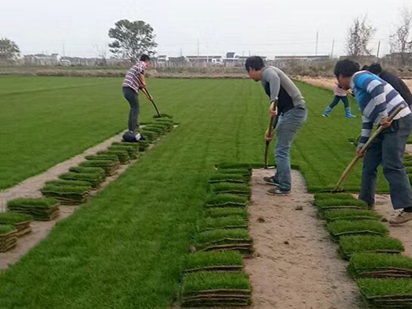 1627377061616900.jpg image.jpg