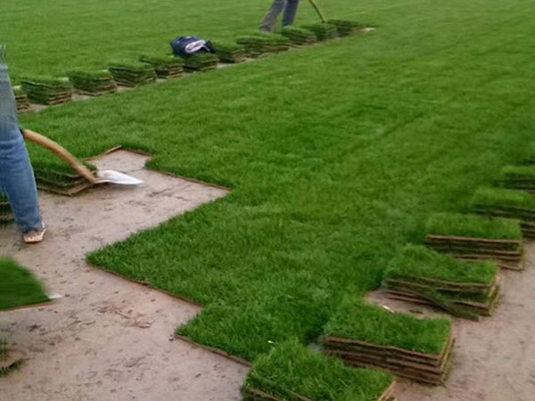 1627377111553457.jpg image.jpg