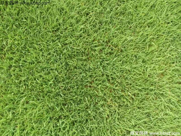 1627378471481825.jpg image.jpg