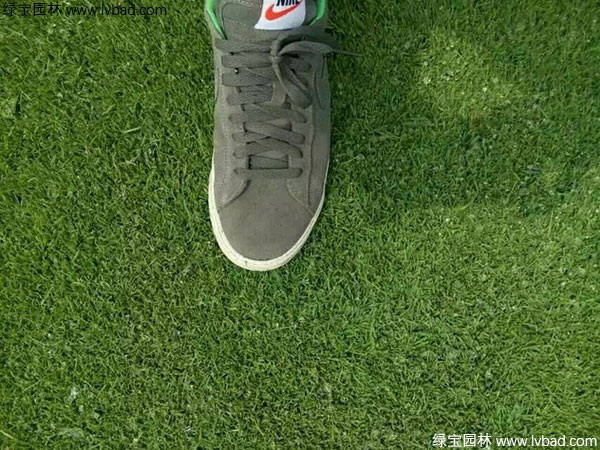 1627378481516963.jpg image.jpg