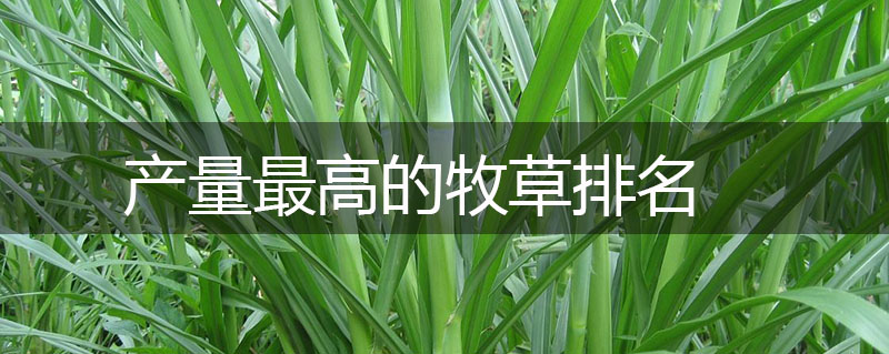產量最高的牧草排名 產量最高的牧草排名