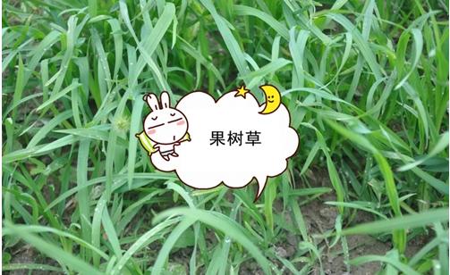 1627464846241798.jpg 1.jpg