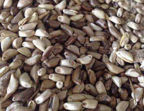 1627518678832942.jpg image.jpg