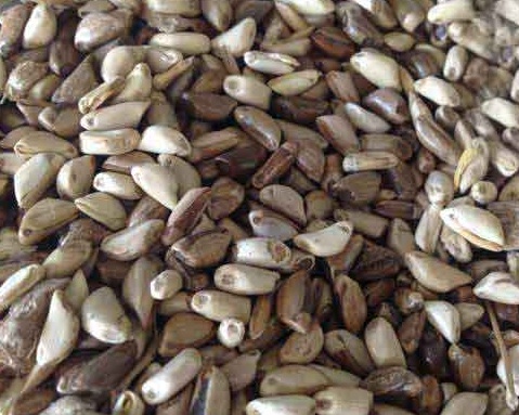 1627519110164554.jpg image.jpg