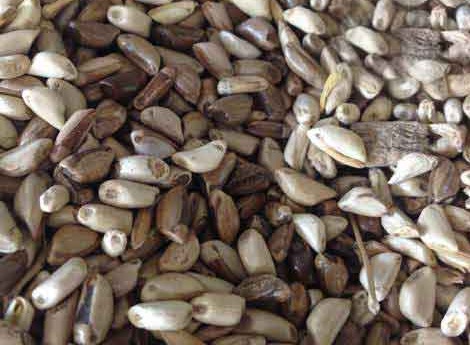 1627519733391206.jpg image.jpg