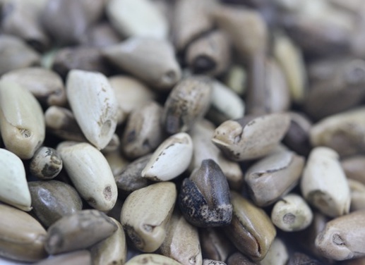 1627520333322651.jpg image.jpg