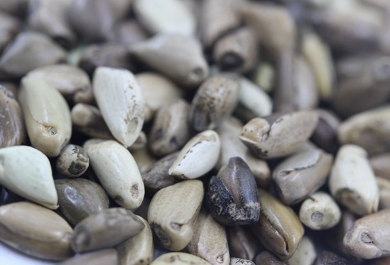 1627527119418471.jpg image.jpg