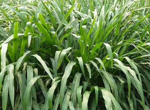 1627527330114707.jpg image.jpg