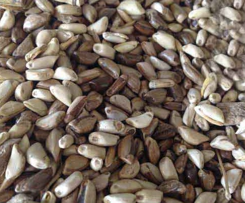 1627529081917833.jpg image.jpg