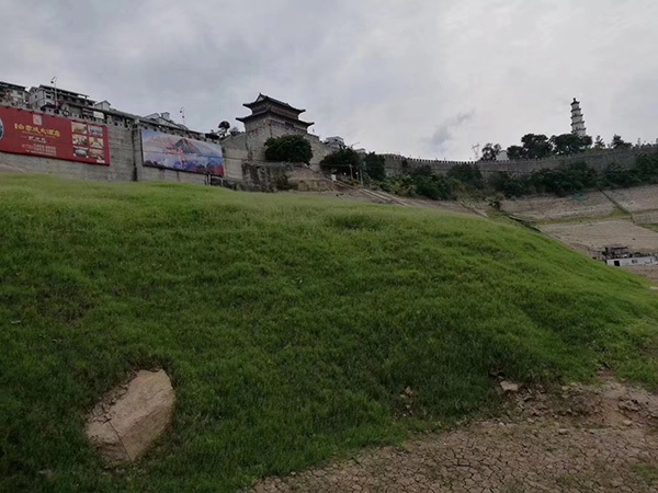 1627613477605369.jpg image.jpg