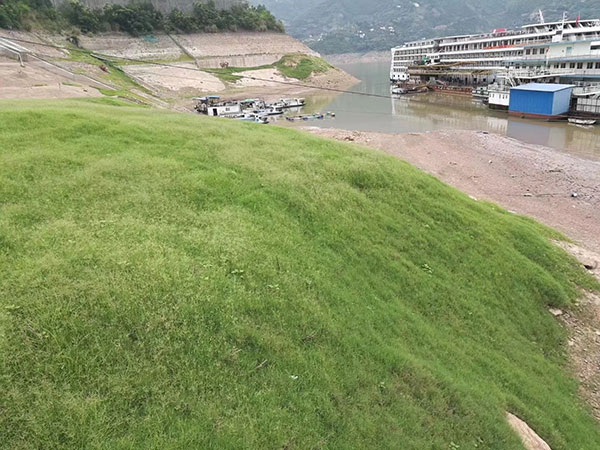 1627614485181461.jpg image.jpg