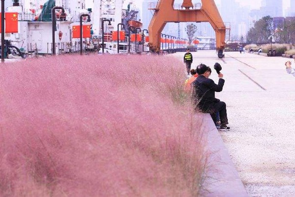 1627617521258749.jpg image.jpg