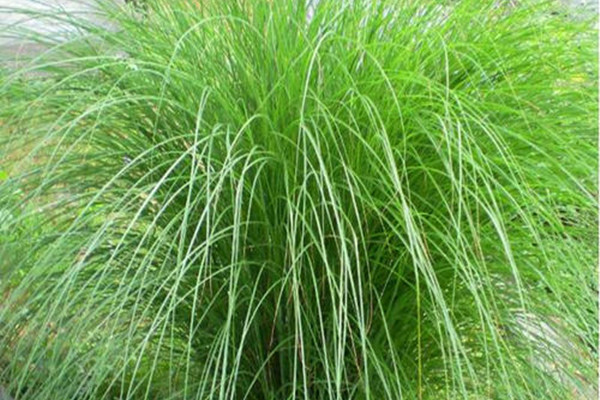 1627688358182516.jpg 3_副本.jpg