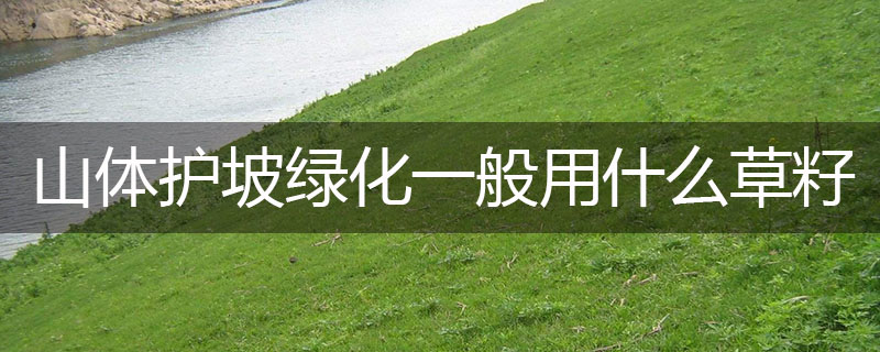 山體護(hù)坡綠化一般用什么草籽 山體護(hù)坡綠化一般用什么草籽