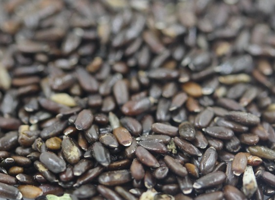 1627692655330468.jpg image.jpg