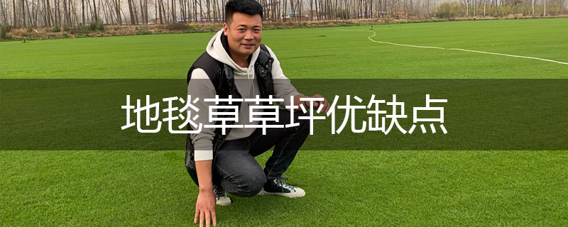 地毯草草坪優缺點 地毯草草坪優缺點