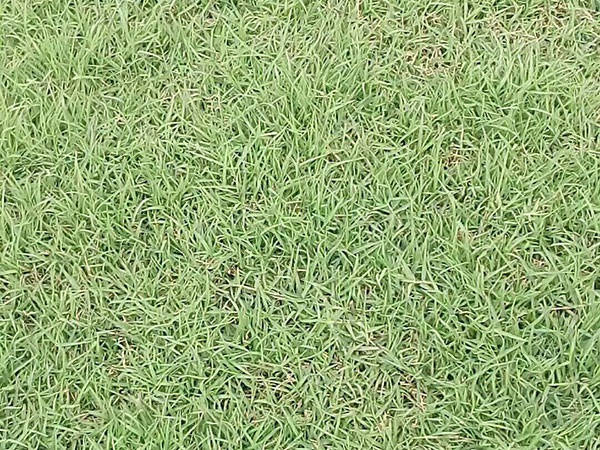 1627698373286847.jpg image.jpg