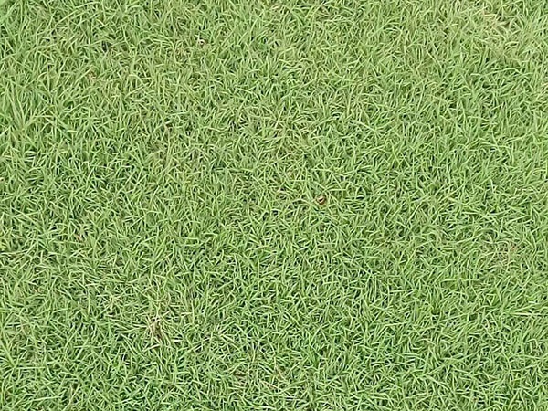 1627698381500952.jpg image.jpg