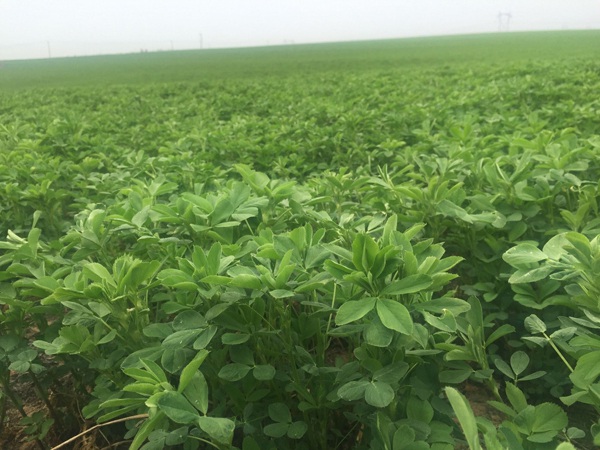 1627698817561992.jpg image.jpg