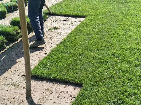 1627699580829803.jpg image.jpg