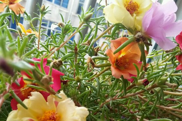 1627818226125139.jpg image.jpg