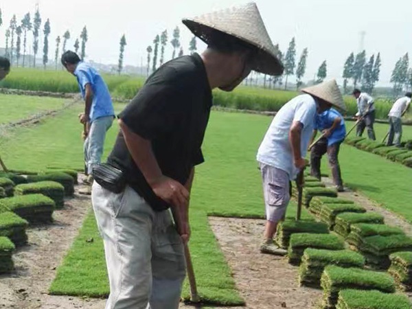 1627818403326961.jpg image.jpg