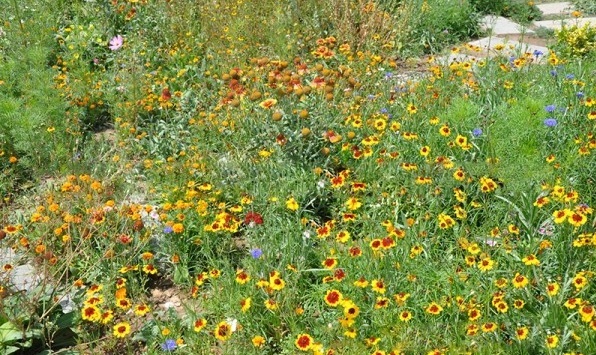 1627823556211345.jpg image.jpg