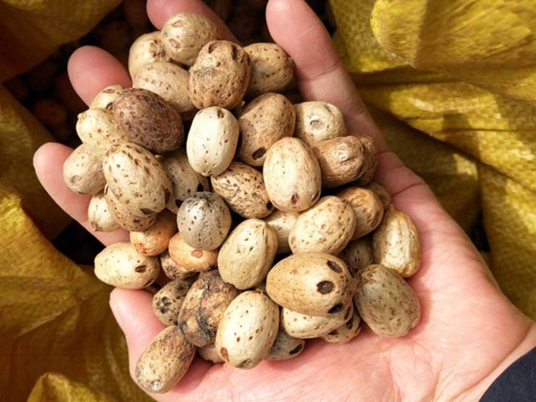 1627824797440155.jpg image.jpg