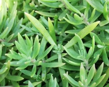 1627949676762206.jpg image.jpg