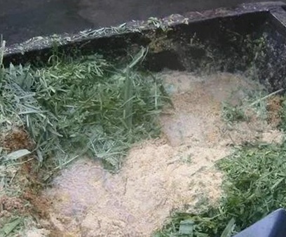 1627955961932621.jpg image.jpg