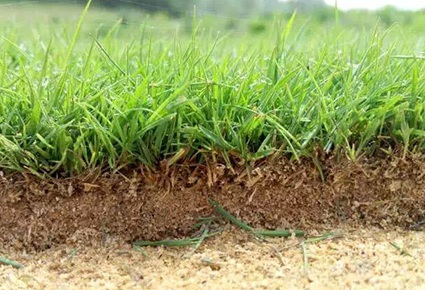 1627958007790849.jpg image.jpg