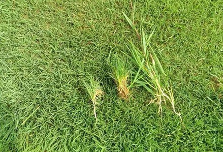 1627958041198506.jpg image.jpg