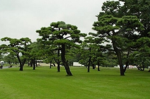 1627985433414223.jpg image.jpg