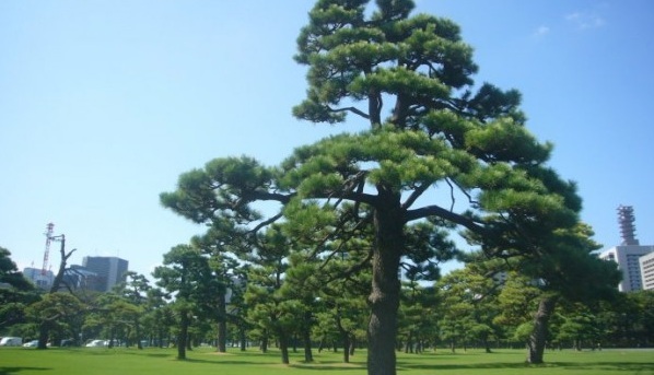 1627985442387144.jpg image.jpg