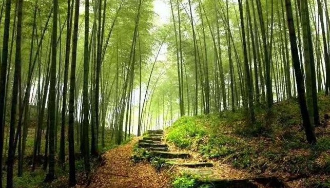 1627989805641286.jpg image.jpg