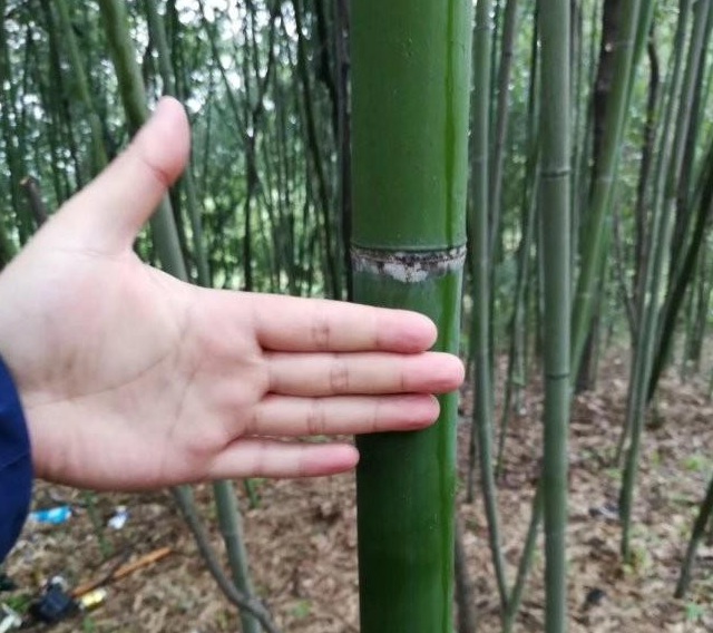 1627989815986574.jpg image.jpg