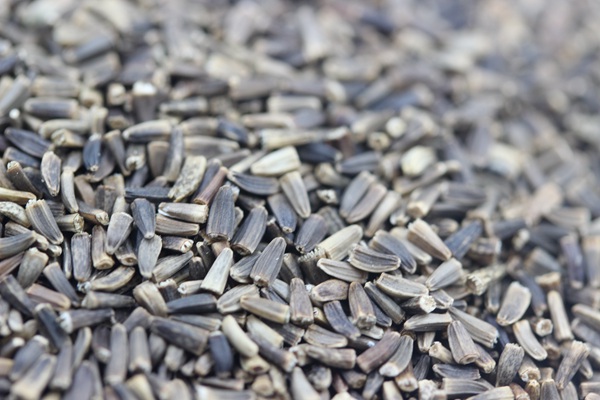 1627991847498307.jpg image.jpg