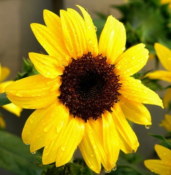 1628056682251954.jpg image.jpg