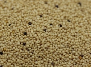 1628083958841142.jpg image.jpg