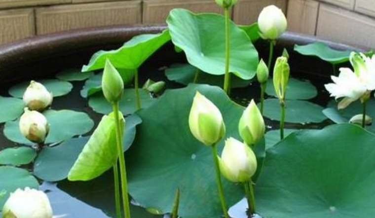 1628142693177790.jpg 萬聯(lián)1.jpg