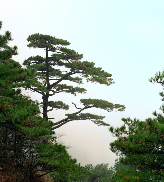 1628161734317241.jpg 1628161734317241.jpg