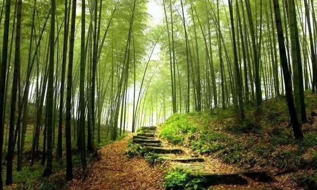 1628214616737062.jpg image.jpg