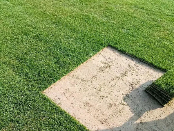 1628221832466577.jpg image.jpg